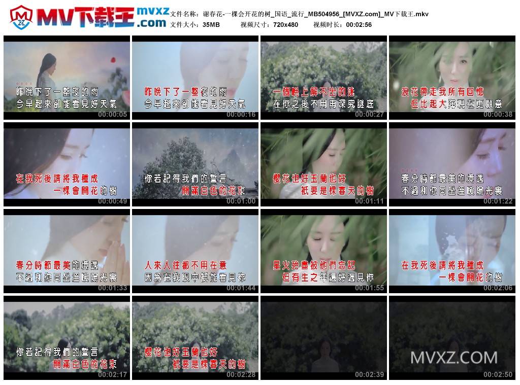 谢春花-一棵会开花的树_国语_流行_MB504956